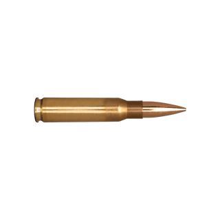 Picture of Bullet