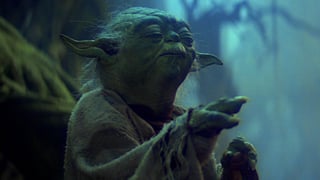 Picture of The Force
