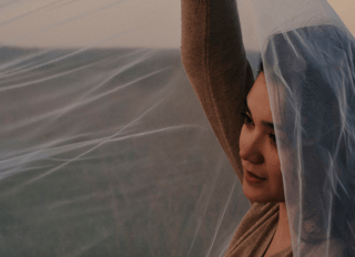 Picture of Veil