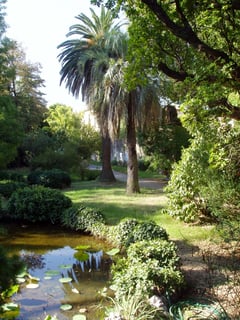 Picture of Botanical garden