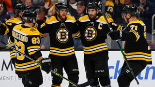 Picture of Boston Bruins