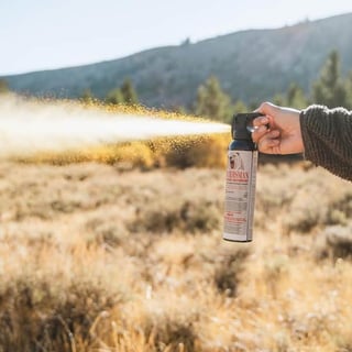 Picture of Bear spray