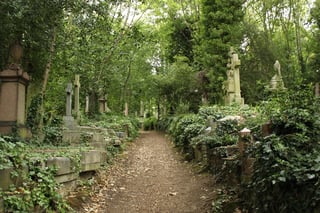 Picture of Highgate Cemetery