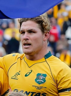Picture of Michael Hooper