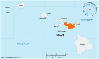 Picture of Maui