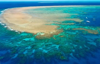 Picture of Great Barrier Reef