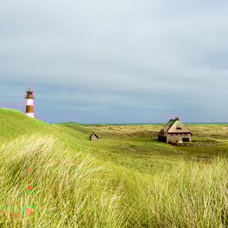 Picture of Sylt