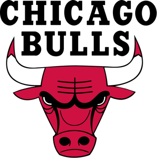 Picture of Chicago Bulls