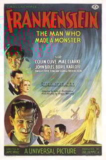Picture of Frankenstein