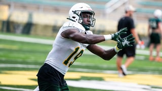 Picture of Southeastern Louisiana Lions football