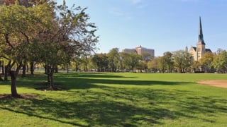 Picture of Union Park