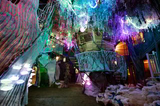 Picture of Meow Wolf