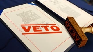 Picture of Veto