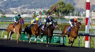 Picture of Horse racing