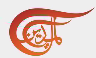 Picture of Al Mayadeen