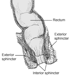 Picture of Defecation