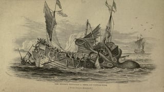Picture of Kraken