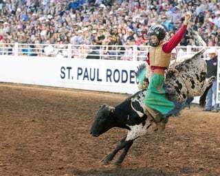 Picture of Rodeo