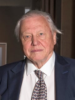 Picture of David Attenborough