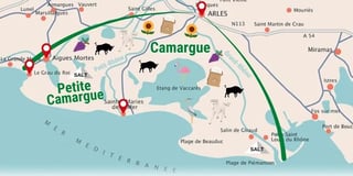 Picture of Camargue