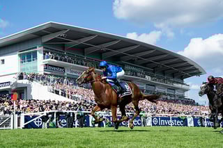 Picture of Jockey Club