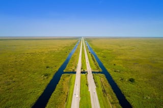 Picture of Alligator Alley