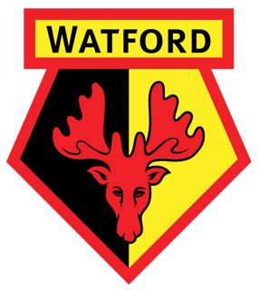 Picture of Watford F.C.