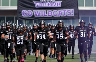Picture of Weber State Wildcats football