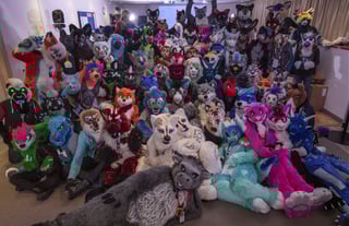Picture of Furry fandom