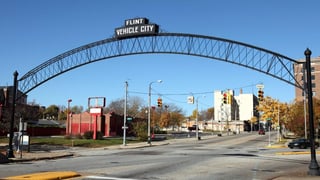 Picture of Flint