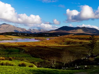 Picture of County Galway