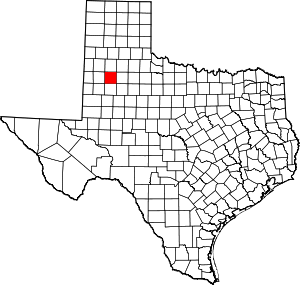 Picture of Lubbock County