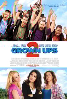 Picture of Grown Ups 2