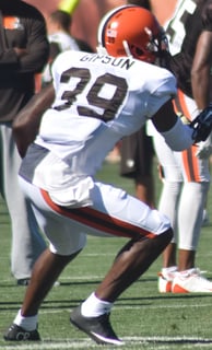 Picture of Tashaun Gipson