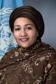 Picture of Amina J. Mohammed