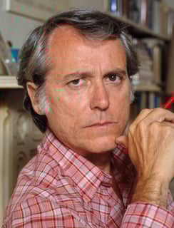 Picture of Don DeLillo