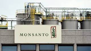 Picture of Monsanto