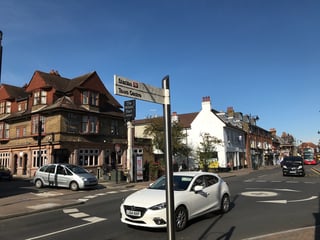Picture of Orpington