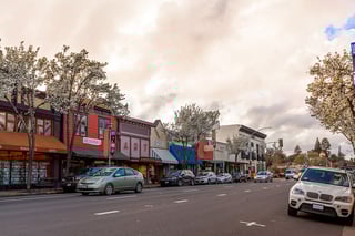 Picture of Sebastopol