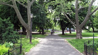 Picture of Herbert Von King Park