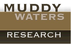 Picture of Muddy Waters Research