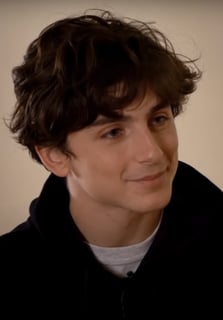 Picture of Timothée Chalamet