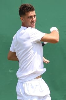 Picture of Thanasi Kokkinakis