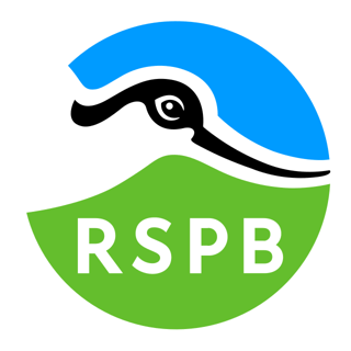 Picture of Royal Society for the Protection of Birds