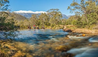 Picture of Kosciuszko National Park