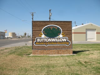 Picture of Buttonwillow