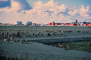 Picture of Prudhoe Bay