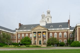 Picture of Newton