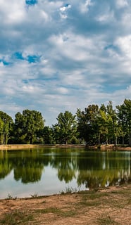 Picture of Greenbrier