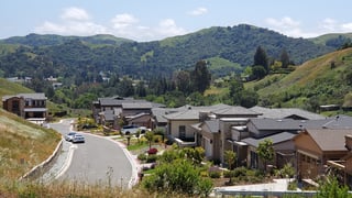 Picture of Moraga